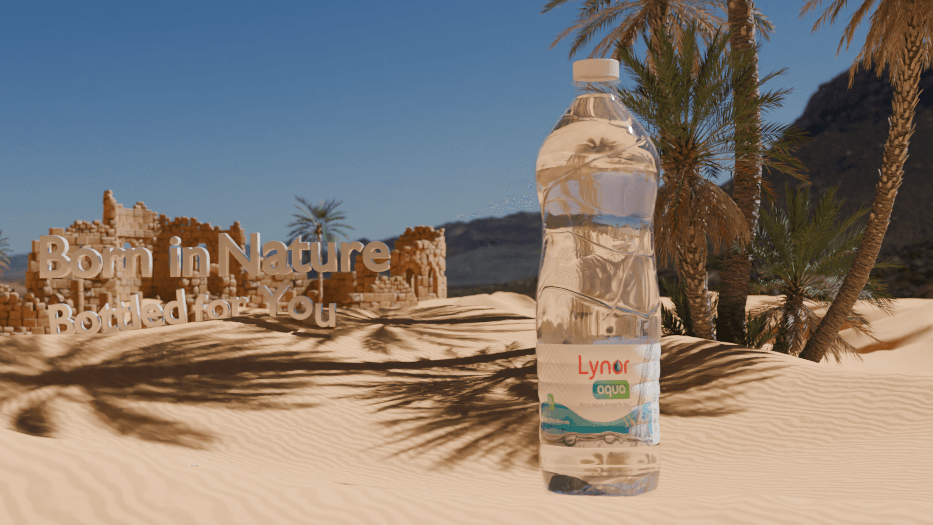 Lynor Brand Products